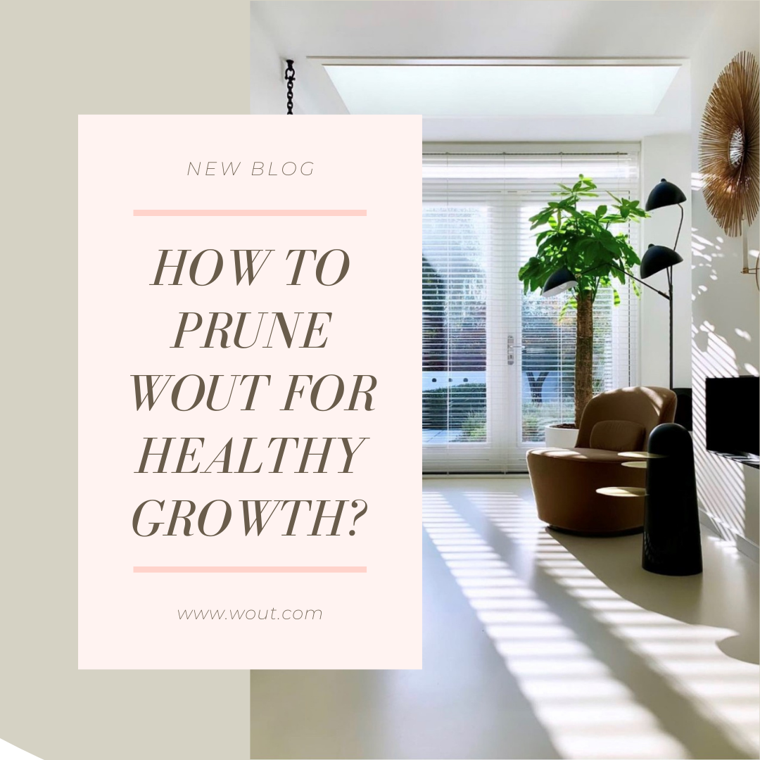 How to prune Wout for healthy growth?
