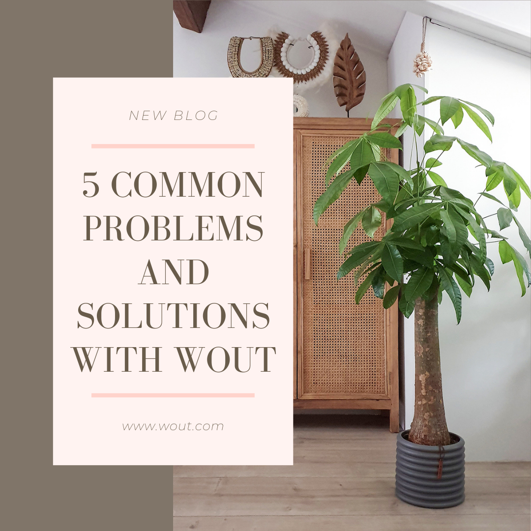 5 common problems and solutions with Wout