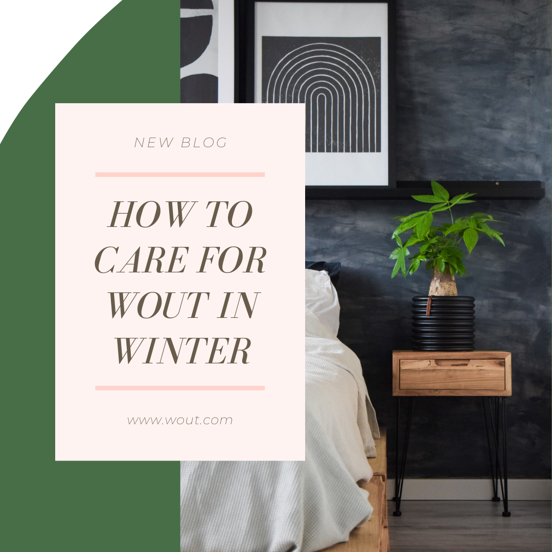 How to care for Wout in winter?