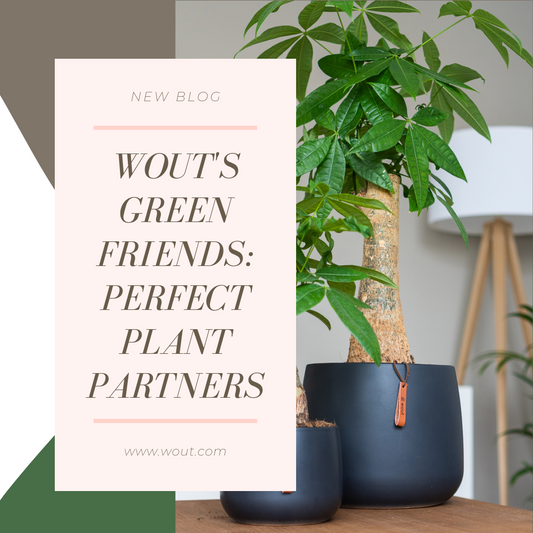 Wout's green friends: perfect plant partners