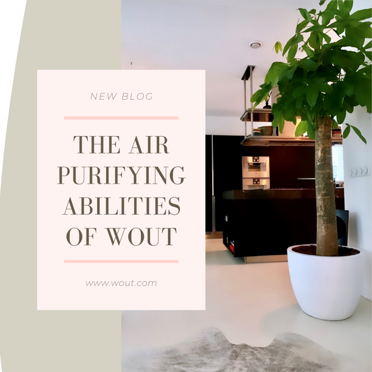 The Air Purifying Abilities of Wout