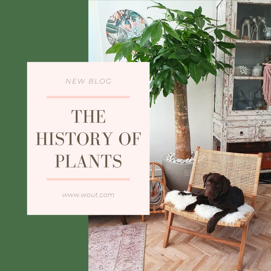 The history of plants