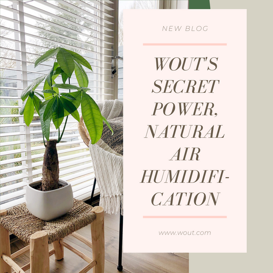 Wout's secret power, natural air humidification